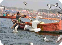 Delhi taxiservice24x7.com